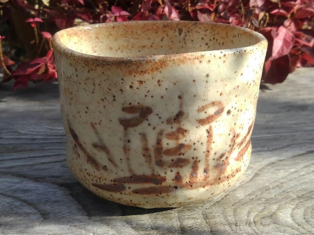 美濃焼 志野 向付 五客揃い 桐箱付き